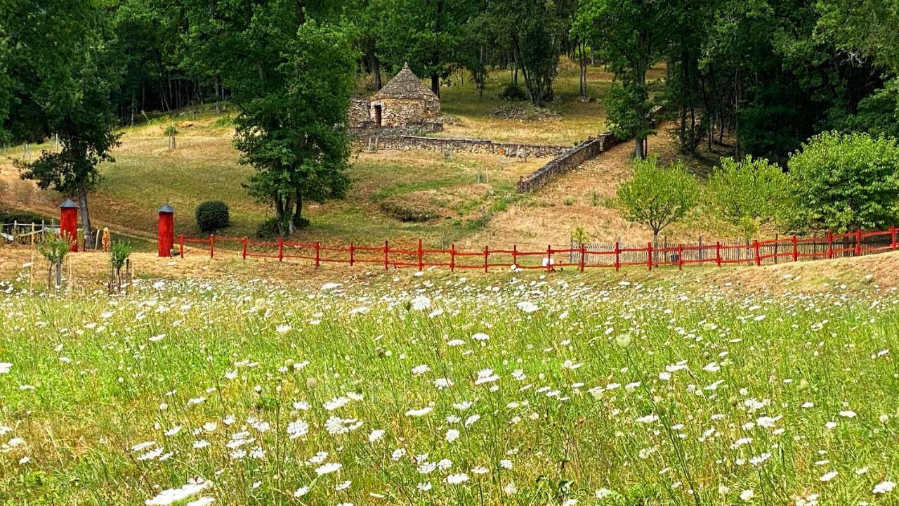 Eco-Hameau Du Sentier Des Sources Villa Sarlat-la-Canéda Kültér fotó